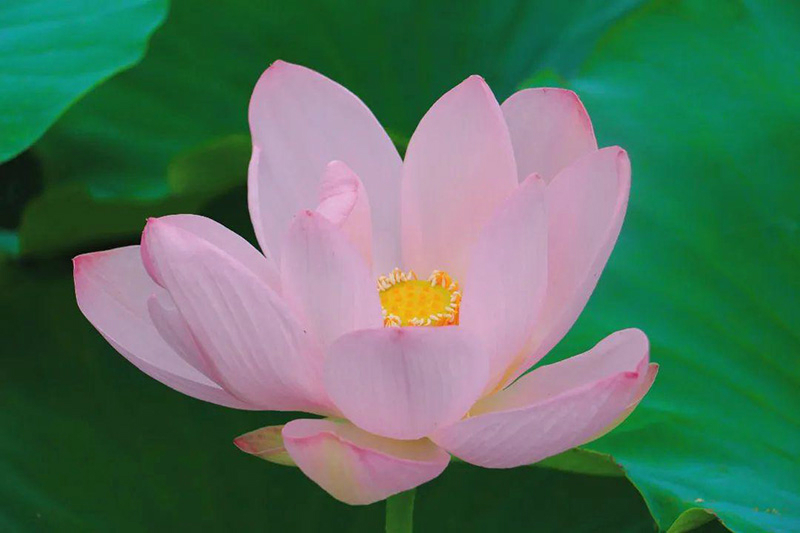 图片115