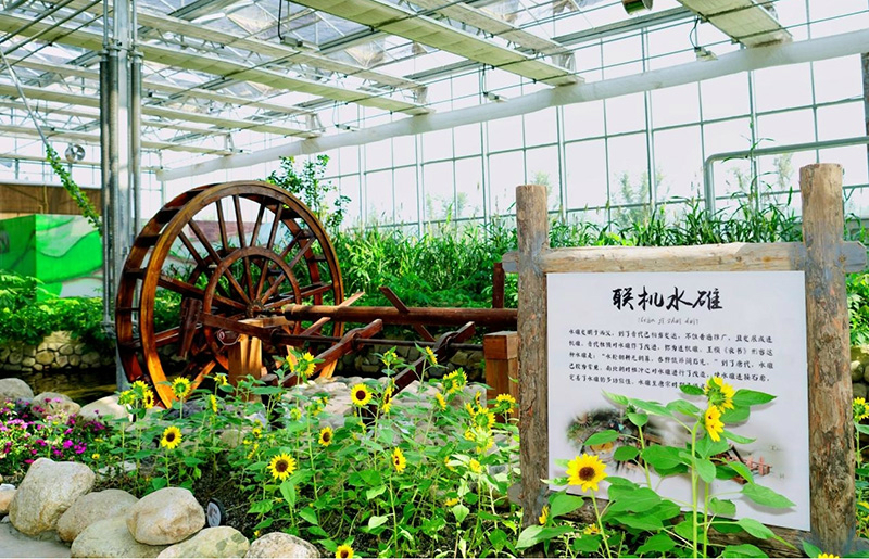 图片135