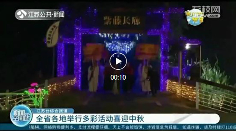图片215