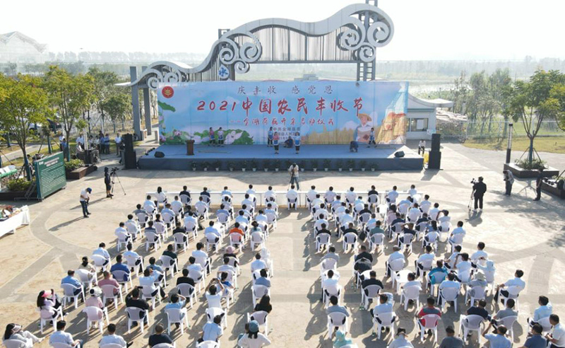 图片227