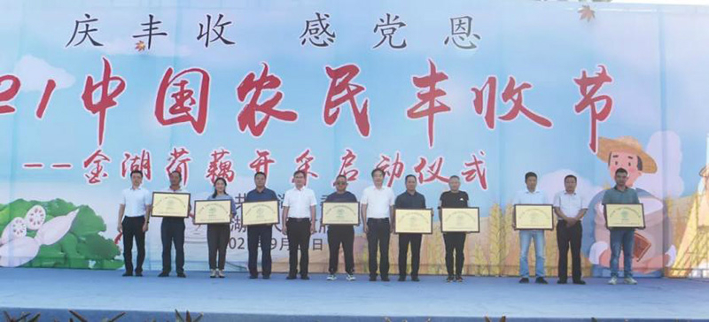 图片229