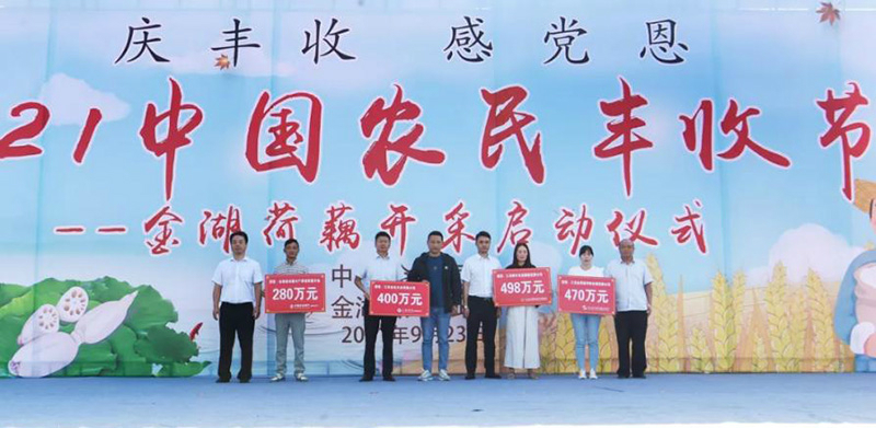 图片231