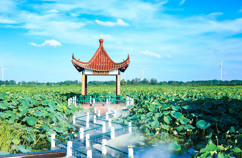 图片88