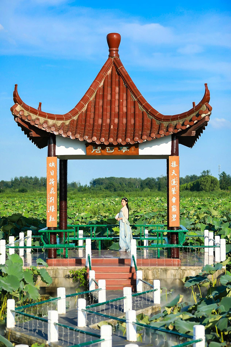 图片89