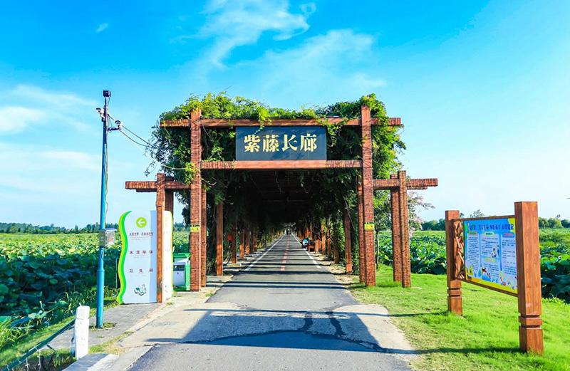 图片92