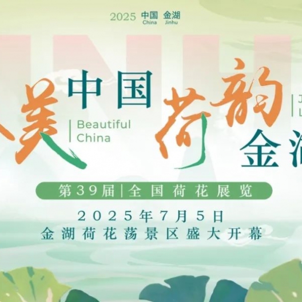 大美中国 荷韵金湖 | 第39届全国荷花展览精彩启幕！