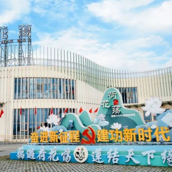 金湖荷花荡：拍美照参与评选赢大奖，打卡人少景美的荷花荡～