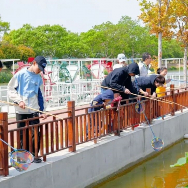 荷花荡双节圆满收官！荷韵金秋里的团圆与欢腾，都在这里了