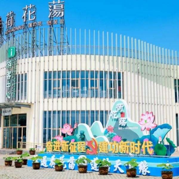 特惠不负夏，9.9元抢跑夏日仙境，金湖荷花荡等你来！