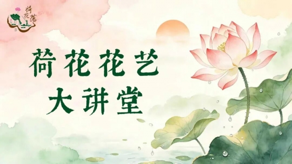 夏日未尽，荷香正浓｜来金湖，做一日“花间闲客”~